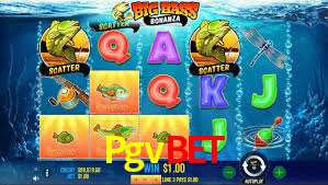 Pgv Bet